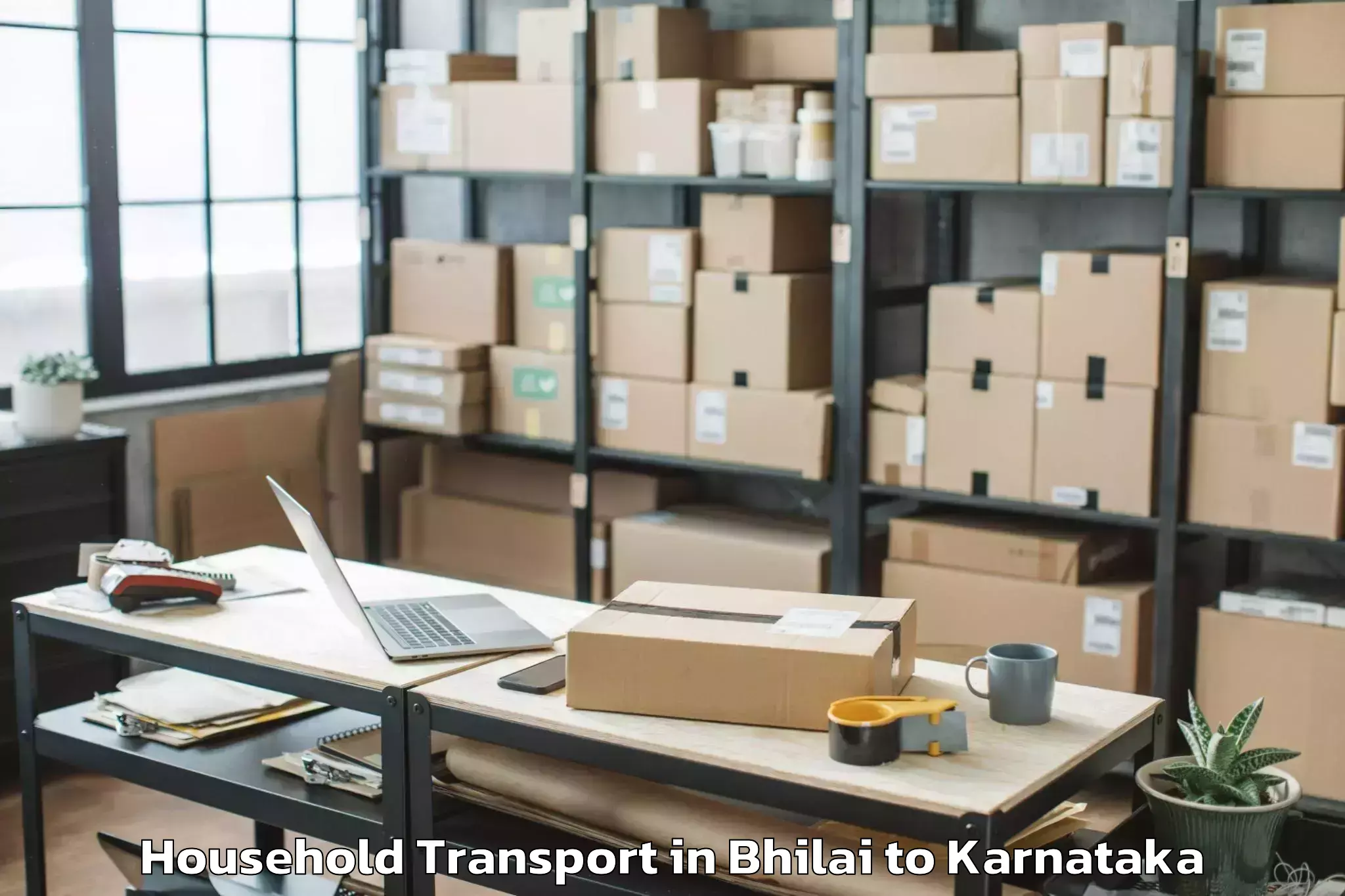 Top Bhilai to Pangala Household Transport Available